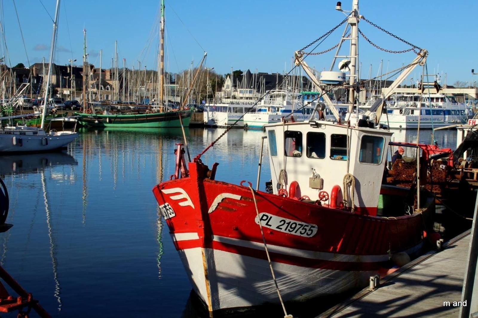 Gite Paimpol Le Loarwenn Εξωτερικό φωτογραφία