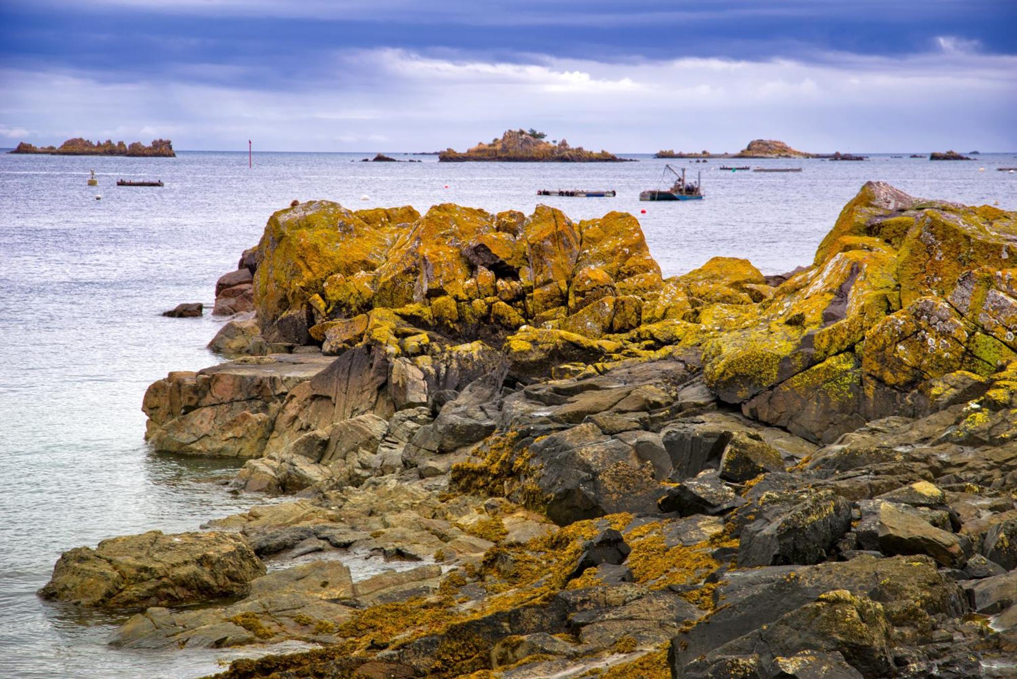 Gite Paimpol Le Loarwenn Εξωτερικό φωτογραφία